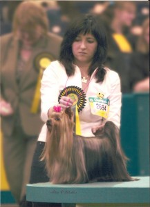 Campeón Belleza Crufts 2008 Inglaterra